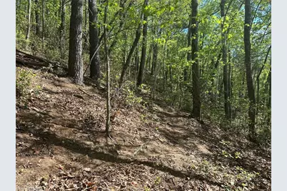 000 Nc Highway 268, Wilkesboro, NC 28697 - Photo 41