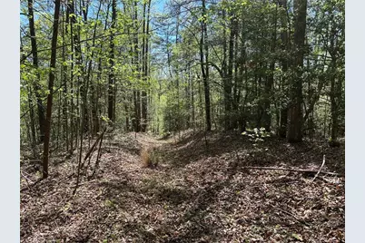 000 Nc Highway 268, Wilkesboro, NC 28697 - Photo 13