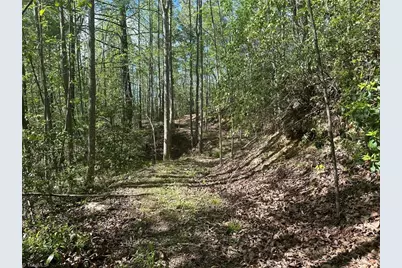 000 Nc Highway 268, Wilkesboro, NC 28697 - Photo 39