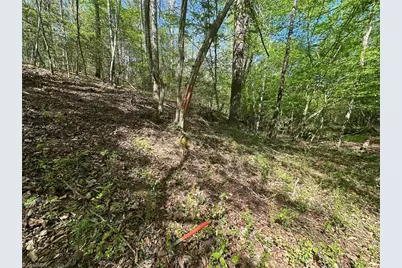 000 Nc Highway 268, Wilkesboro, NC 28697 - Photo 35