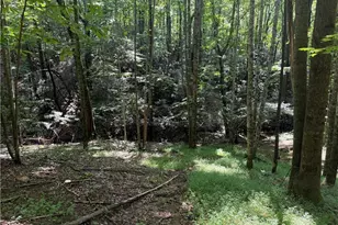 00 McCarther Rd, Mount Airy, NC 27031 - Photo 19