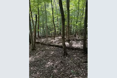 00 McCarther Road #2, Mount Airy, NC 27031 - Photo 13