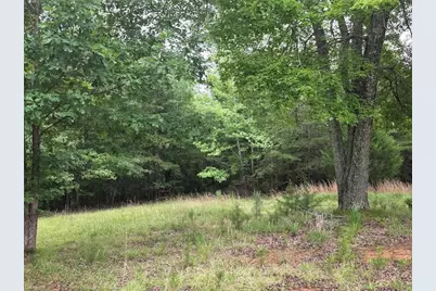 391 Oak Hill Farm Road, Pelham, NC 27311 - Photo 9