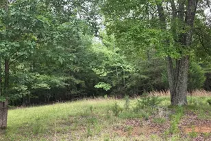 391 Oak Hill Farm Rd, Pelham, NC 27311 - Photo 9