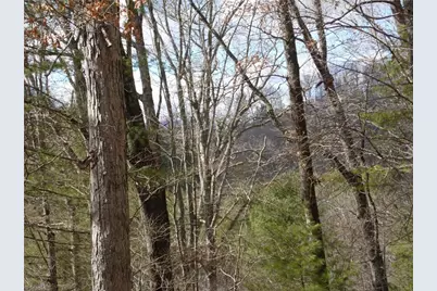 Tbd Happy Woods Road, Piney Creek, NC 28631 - Photo 5