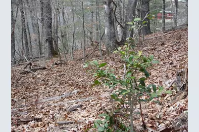 Tbd Happy Woods Road, Piney Creek, NC 28631 - Photo 11