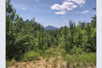 0 Pine Tree Drive, Pinnacle, NC 27043 - Photo 1