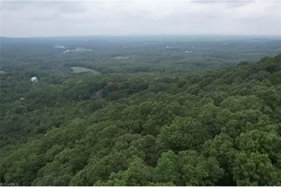 0 Pine Tree Drive, Pinnacle, NC 27043 - Photo 5
