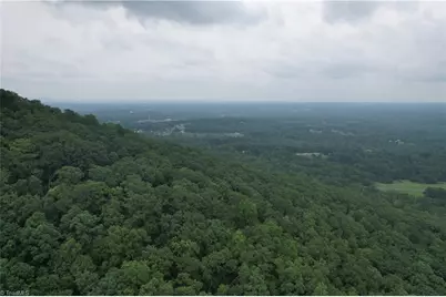 0 Pine Tree Drive, Pinnacle, NC 27043 - Photo 3