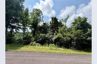 Lot 99 Beaver Dam Road, Banner Elk, NC 28604 - Photo 5