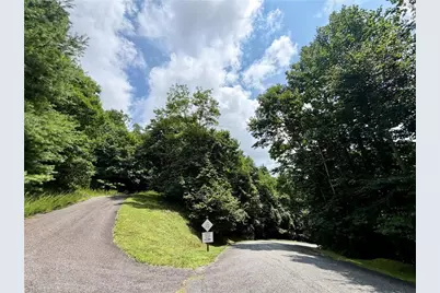 Lot 99 Beaver Dam Road, Banner Elk, NC 28604 - Photo 7