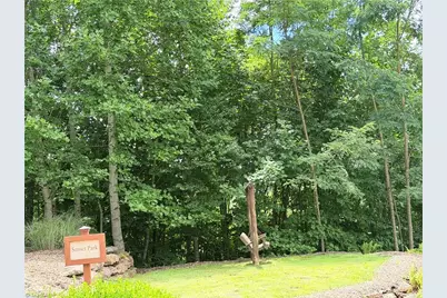 Lot 99 Beaver Dam Road, Banner Elk, NC 28604 - Photo 31