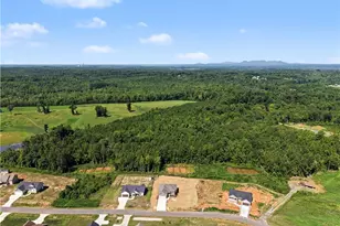 132 Knight Farm Rd, Stokesdale, NC 27357 - Photo 3