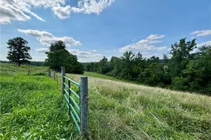 300 Tom Hunter Rd, Pilot Mountain, NC 27041 - Photo 47