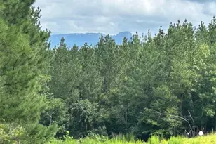 4429 Union Hill Rd, East Bend, NC 27018 - Photo 1