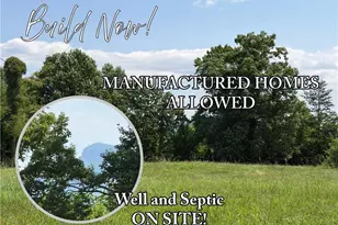 166 Springfield Rd, Pilot Mountain, NC 27041 - Photo 1