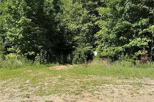 Lot 222 Casey Mountain Rd, Purlear, NC 28665 - Photo 1