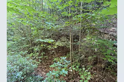 Lot 222 Casey Mountain Road, Purlear, NC 28665 - Photo 5
