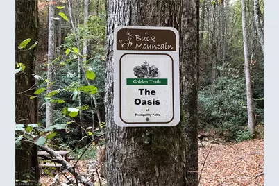 Lot 222 Casey Mountain Road, Purlear, NC 28665 - Photo 19