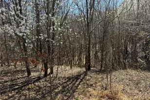 6937 Nc Hwy 66 S, King, NC 27021 - Photo 25