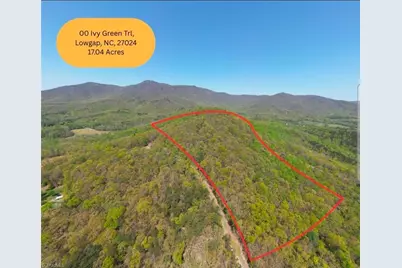 Tbd Ivy Green Trail, Lowgap, NC 27024 - Photo 11