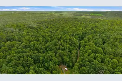 000 Brewer Mill Road Extension, Traphill, NC 28685 - Photo 5