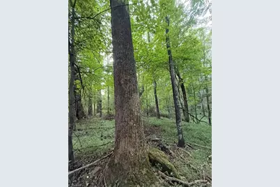 00 Locust Grove Road #67, Westfield, NC 27053 - Photo 15