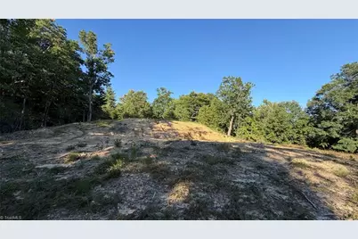 000 Carriage House Trail Lot #157, McGrady, NC 28649 - Photo 15