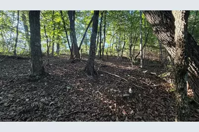 000 Carriage House Trail Lot #157, McGrady, NC 28649 - Photo 9