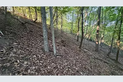 000 Carriage House Trail Lot #157, McGrady, NC 28649 - Photo 17