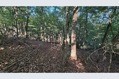 000 Carriage House Trail Lot #157, McGrady, NC 28649 - Photo 21