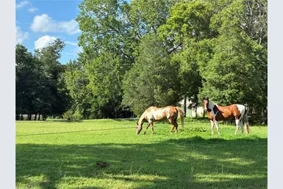 6967 Garrett Store Road, Liberty, NC 27298 - Photo 3