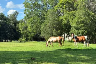 6967 Garrett Store Rd, Liberty, NC 27298 - Photo 3