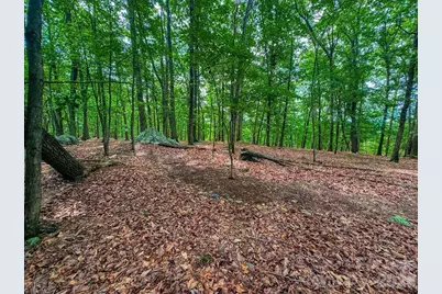 1616 Sierra Trace Road, Denton, NC 27239 - Photo 15
