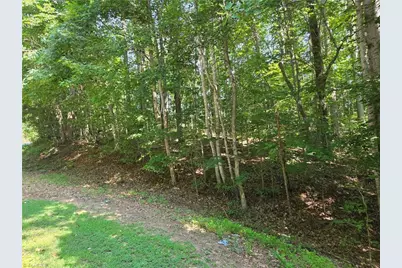 Lot 1 Pin Tail Drive, Reidsville, NC 27320 - Photo 7