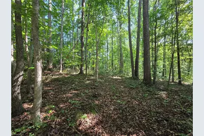 Lot 1 Pin Tail Drive, Reidsville, NC 27320 - Photo 5