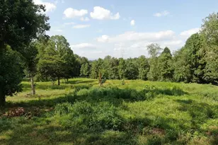 209 Second St, Pilot Mountain, NC 27041 - Photo 3