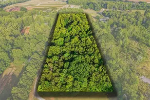 7965 Troxler Mill Rd, Gibsonville, NC 27249 - Photo 41