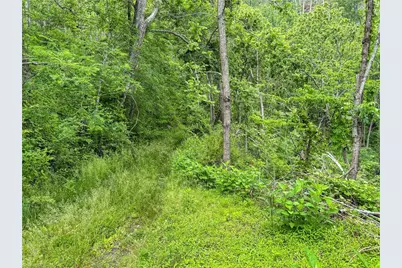 000-000 Bee Branch Road #14AC, Bakersville, NC 28705 - Photo 19