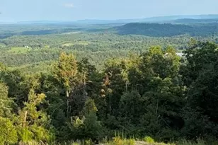 Lot #9 Widow Mountain Dr, McGrady, NC 28649 - Photo 1