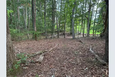 00 Bethany Road, Reidsville, NC 27320 - Photo 1