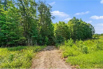 0 Massey Creek Road, Madison, NC 27025 - Photo 11