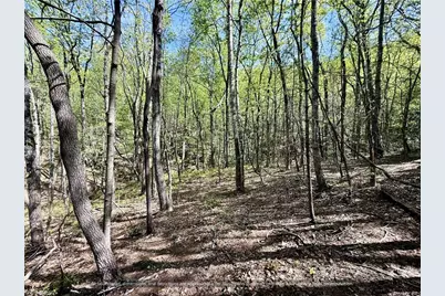 99999 Big Rock Lane, Lowgap, NC 27024 - Photo 11