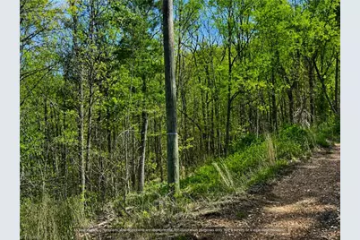 000-000 Big Rock Lane #Lots 8, 9 and 10, Lowgap, NC 27024 - Photo 3