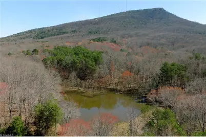5 Old Mill Road, Pinnacle, NC 27043 - Photo 5