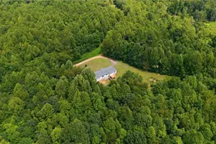 1200 Blue Ridge Ln, Sandy Ridge, NC 27046 - Photo 41