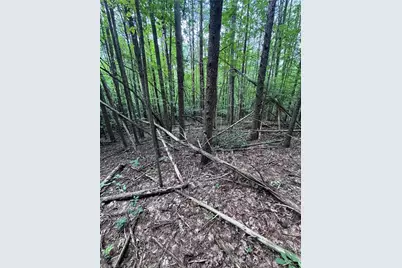 0 Johnson Road, King, NC 27021 - Photo 11