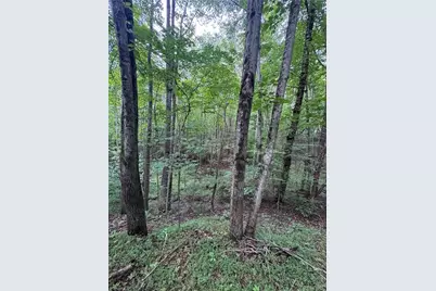 0 Johnson Road, King, NC 27021 - Photo 9