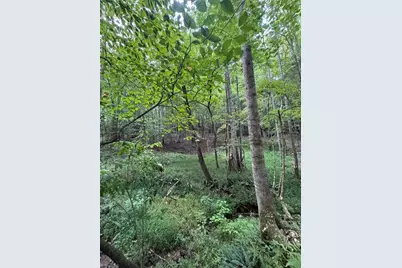 0 Johnson Road, King, NC 27021 - Photo 13