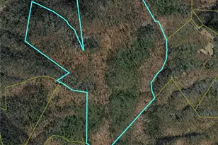 Tbd Vannoy Rd, McGrady, NC 28649 - Photo 1